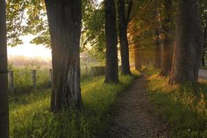 zonsopgang in mooi steegje foto