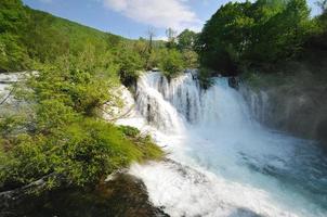 rivier waterval wild foto