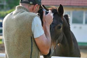 fotograaf en paard foto