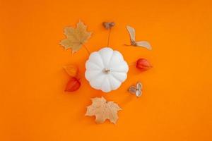 herfst plat liggende compositie met witte pompoen foto
