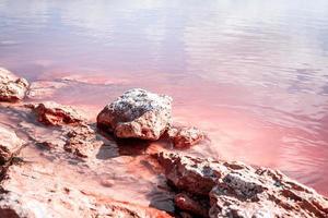 Torrevieja roze meer in alicante, Spanje foto