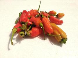 rood heet Chili geïsoleerd Aan een wit achtergrond. Chili is een fruit en fabriek lid van de geslacht paprika. de fruit kan worden geclassificeerd net zo of een groente of een kruid, afhankelijk Aan hoe het is gebruikt. foto