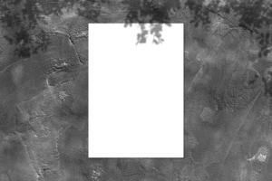 lege witte vierkante poster mockup met lichte schaduw op zwarte betonnen muur achtergrond. foto