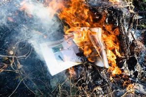 brandend fotografie tijdschrift in brand Aan stengels foto