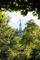 hoog voltage macht lijn tussen gebladerte van bomen foto