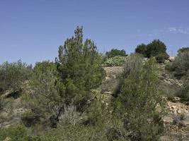 het eiland ibiza in spanje foto