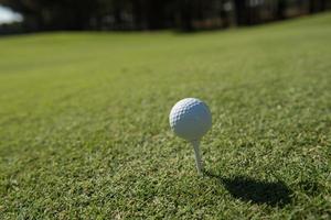 golfbal op tee foto