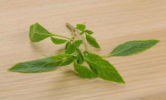 bergamot bladeren Aan houten achtergrond foto