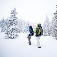 wandelaar in het winter forest