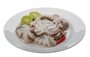 rauw Octopus maaltijd foto