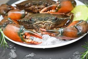 rauwe krab op witte plaatachtergrond, verse modderkrab met ijs voor het koken van voedsel in het visrestaurant foto