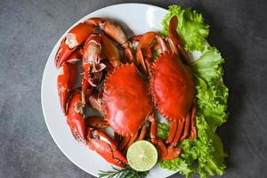 zeevruchten bord met kruiden specerijen rozemarijn citroen limoen salade sla groente, vers krab Aan wit bord zeevruchten, krab Koken voedsel gekookt of gestoomd krab Aan donker achtergrond foto