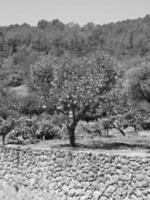 ibiza eiland in spanje foto