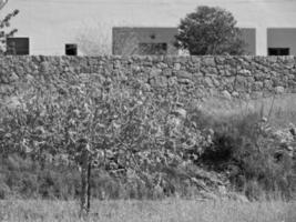 ibiza eiland in spanje foto