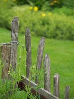 zomer tuin in Westfalen foto