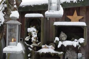 winter tijd in een Duitse tuin foto