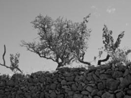 ibiza eiland in spanje foto