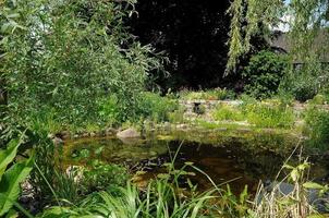 prachtig tuin in Westfalen foto