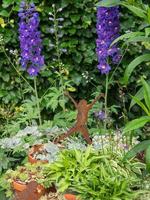 bloeden bloemen in een Duitse tuin foto