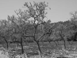 ibiza eiland in spanje foto