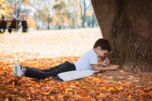 klein jongen ontspannende in herfst dag in natuur. foto