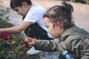 twee kinderen op zoek Bij rood rozen in een tuin. foto