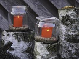 winter tijd in de tuin foto