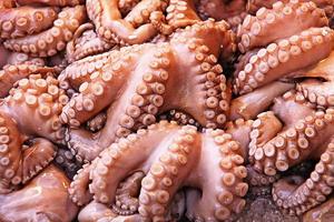 zeevruchten achtergrond verse octopus in de viswinkel