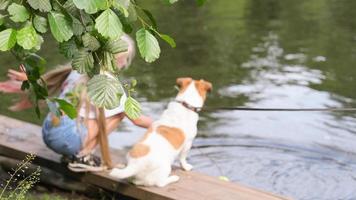 meisje zittend in de buurt de meer met haar hond. terug visie van een meisje met haar huisdier vriend op zoek Bij water. vriendschap en huisdier zorg, wandelen en op reis met dieren. foto