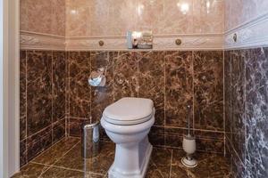 toilet en detail van een hoekdouchecabine met wandmontage douchebevestiging foto