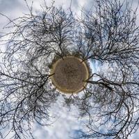 herfst kleine planeet transformatie van bolvormig panorama 360 graden. bolvormige abstracte luchtfoto in bos met onhandige takken. kromming van de ruimte. foto