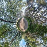 kleine planeet transformatie van bolvormig panorama 360 graden. sferische abstracte luchtfoto in bos. kromming van de ruimte. foto