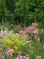 zomer tuin in Westfalen foto