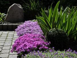 zomertijd in een Duitse tuin foto