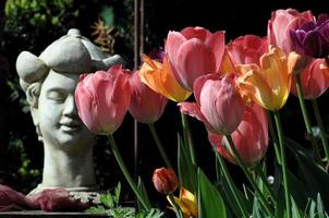 zomertijd in de tuin foto