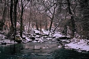 rivier- in de winter seizoen foto