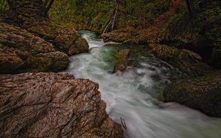 berg rivier en bos foto