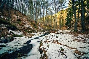 rivier- in de berg foto