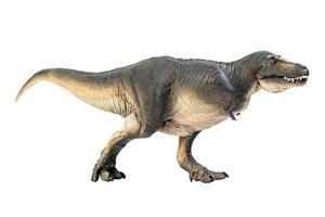 tarbosaurus dinosaurus Aan wit isoleren achtergrond knipsel pad foto