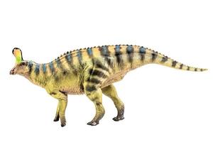 tsintaosaurus spinorhinus dinosaurus Aan wit isoleren achtergrond knipsel pad foto