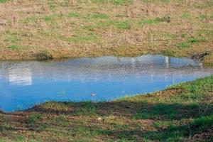 wetlands in de nabijheid van een rivier- foto