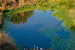 wetlands in de nabijheid van de rivier- llobregat foto