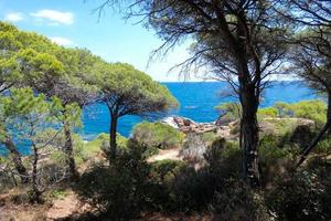 robuust kust, middellandse Zee kust in de Catalaans costa bravoure, sant feliu de guixolen foto