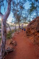 kinderen genieten van bushwalking's foto