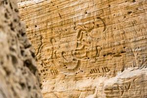 sa pedrera de cala de kort, Atlantis Bij laat middag foto