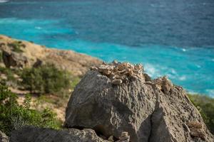 sa pedrera de cala de kort, Atlantis Bij laat middag foto