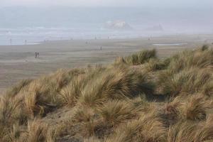 een strand in San Francisco met mensen in de achtergrond. foto