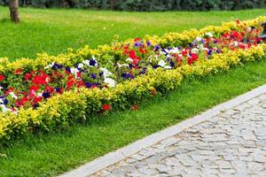 decoratief bloemperken met bloemen en struiken in landschap park foto