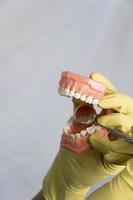 de tandarts is Holding kunstgebit in zijn handen. foto