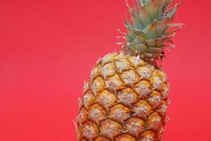 ananas Aan rood achtergrond foto